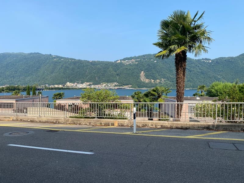 Stunning 4.5-Room Attic Apartment with Lake Views in Bissone (24)