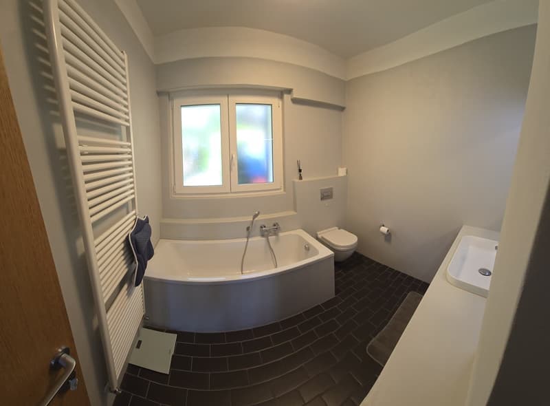 Appartamento con vista lago a Porza (13)