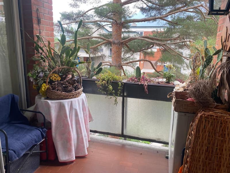 Paradiso confortevole appartamento di 4 locali, con parziale vista lago (16)