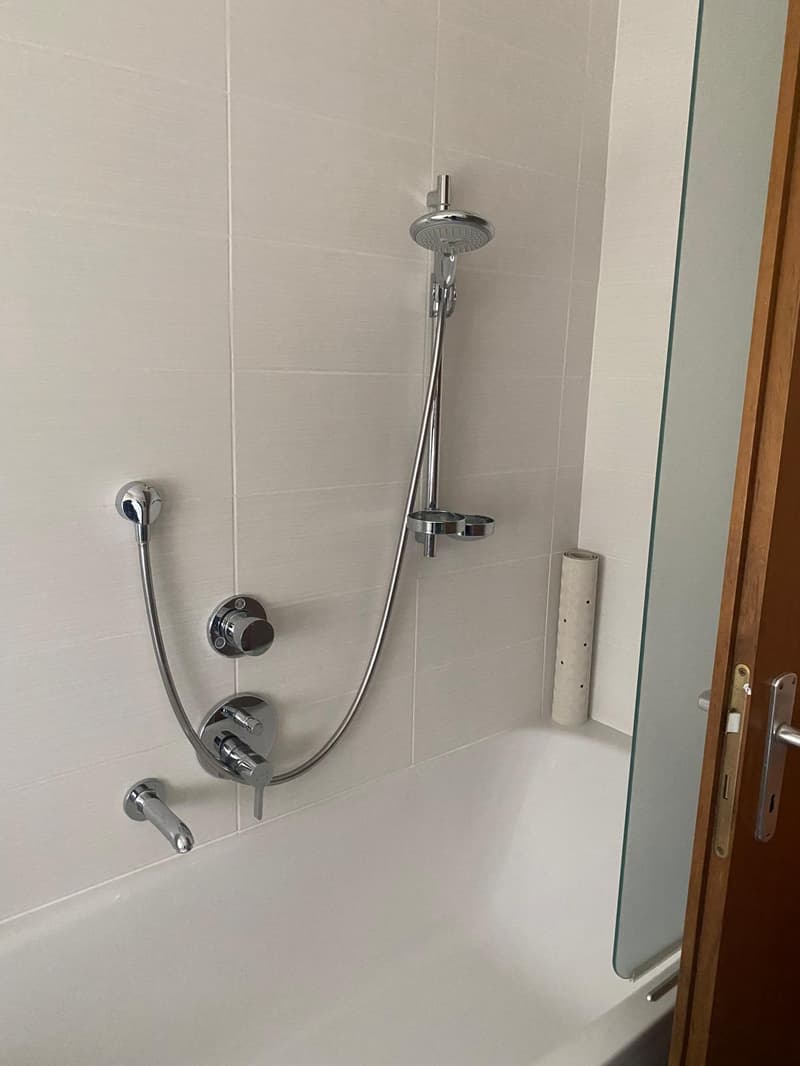Paradiso confortevole appartamento di 4 locali, con parziale vista lago (14)