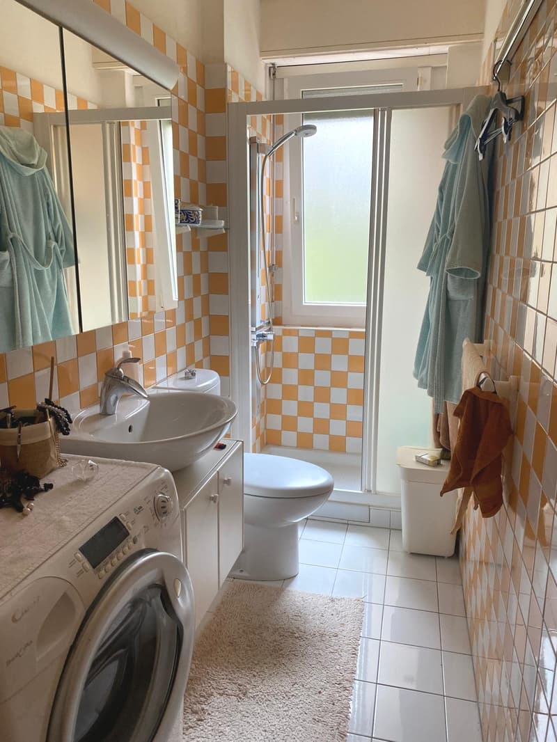 Paradiso confortevole appartamento di 4 locali, con parziale vista lago (12)