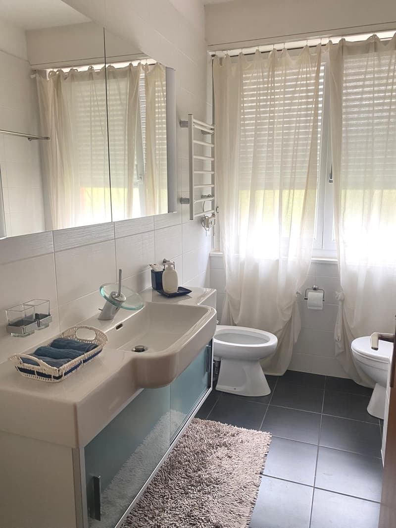 Paradiso confortevole appartamento di 4 locali, con parziale vista lago (13)