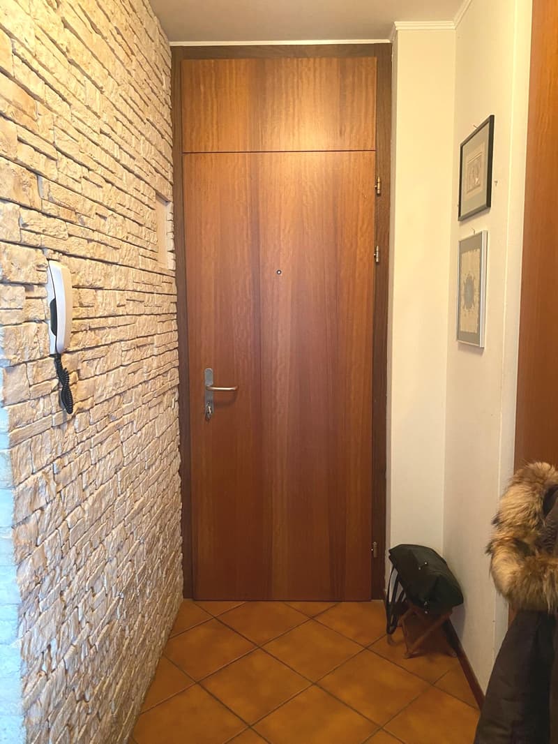Paradiso confortevole appartamento di 4 locali, con parziale vista lago (7)