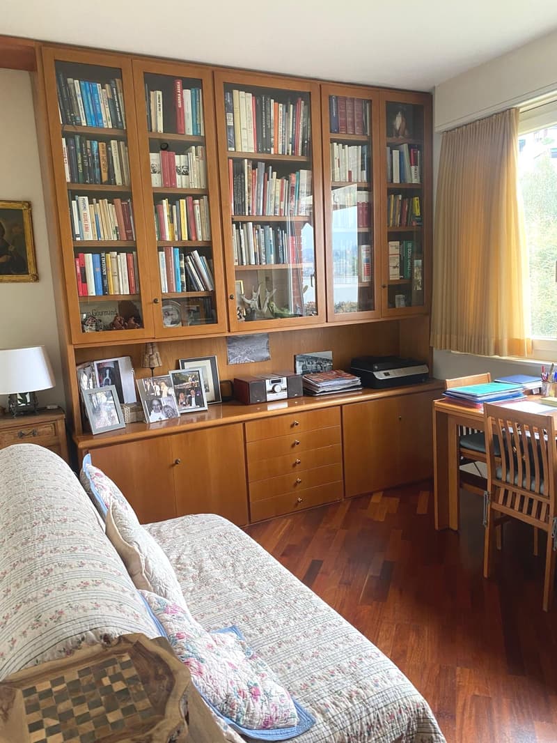 Paradiso confortevole appartamento di 4 locali, con parziale vista lago (5)