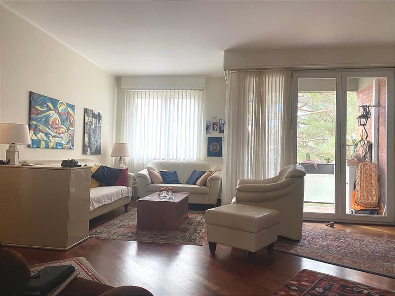 Paradiso confortevole appartamento di 4 locali, con parziale vista lago (1)