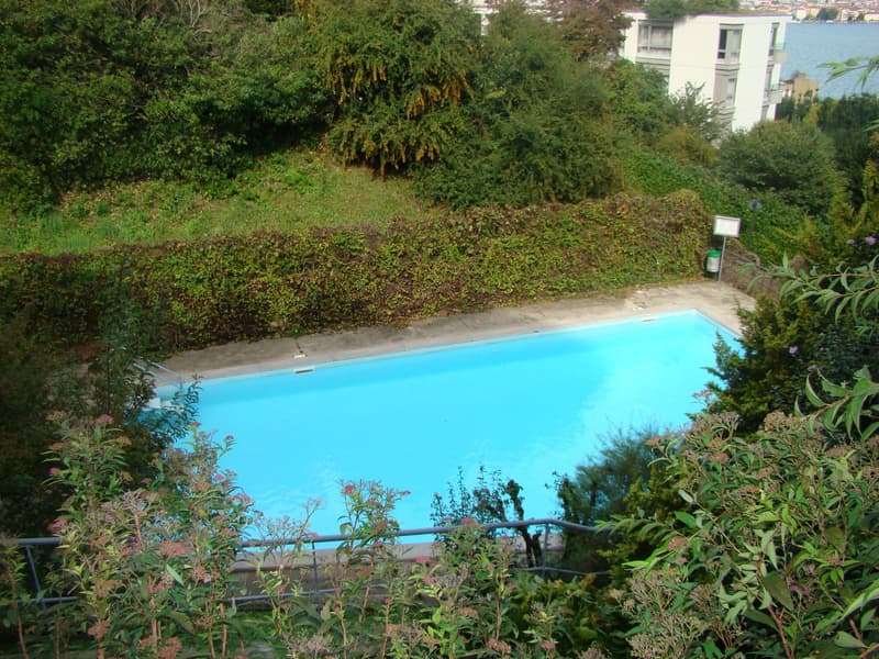 Paradiso confortevole appartamento di 4 locali, con parziale vista lago (17)