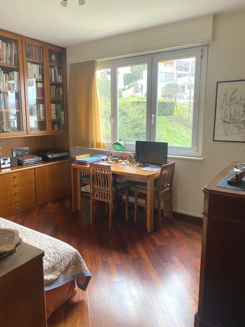 Paradiso confortevole appartamento di 4 locali, con parziale vista lago (6)
