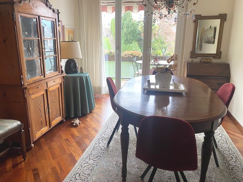 Paradiso confortevole appartamento di 4 locali, con parziale vista lago (4)
