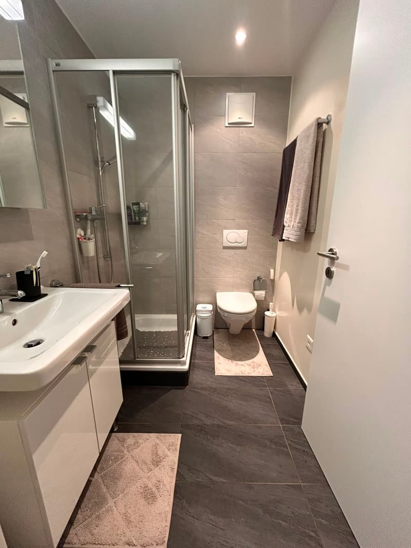Elegante appartamento 3.5 locali a Lugaggia (12)