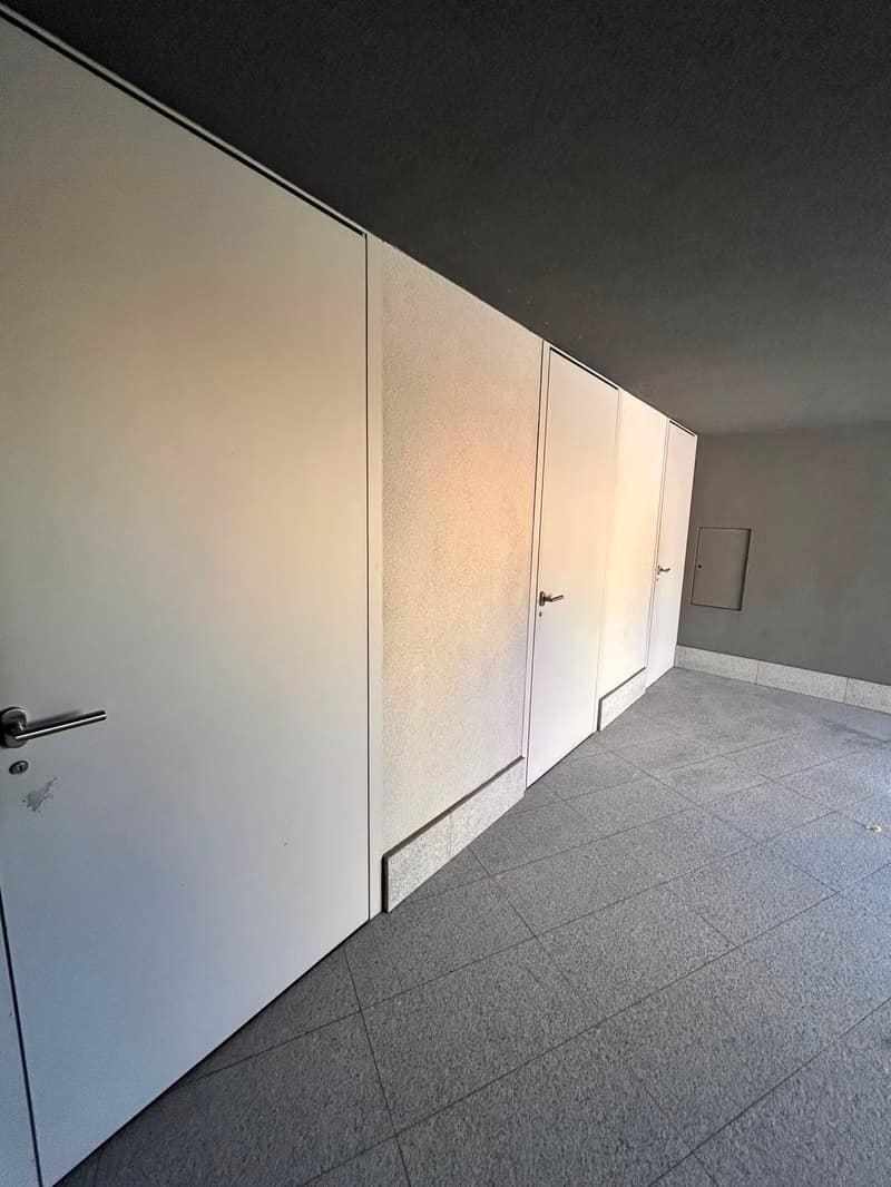 Elegante appartamento 3.5 locali a Lugaggia (24)