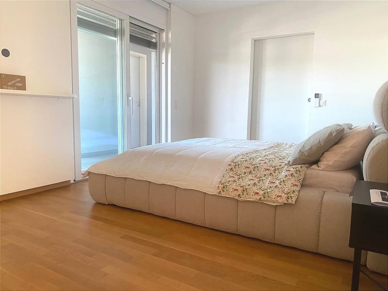 Pregassona singolare Attico ammobilito, moderno e luminoso con roof garden (7)