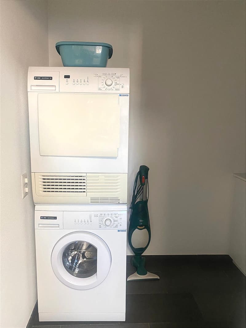 Pregassona singolare Attico ammobilito, moderno e luminoso con roof garden (26)
