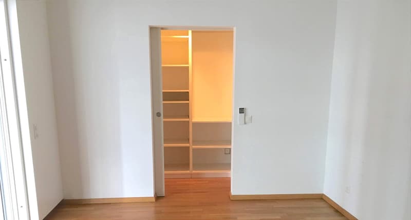 Pregassona singolare Attico ammobilito, moderno e luminoso con roof garden (20)