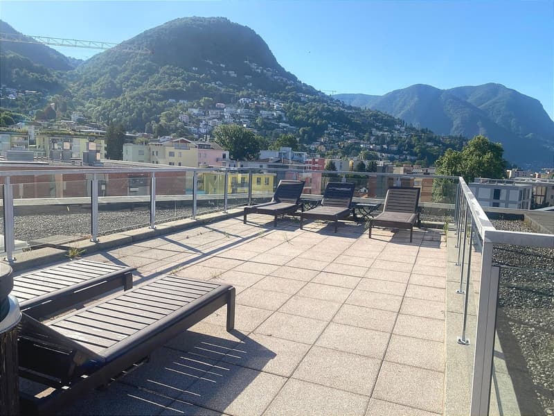 Pregassona singolare Attico ammobilito, moderno e luminoso con roof garden (23)