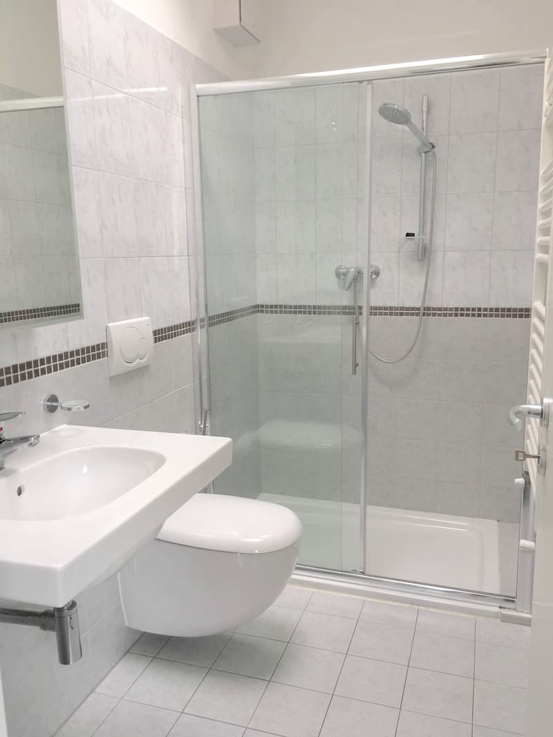 Pregassona singolare Attico ammobilito, moderno e luminoso con roof garden (13)