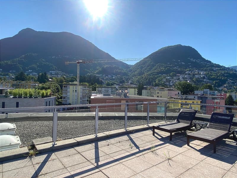 Pregassona singolare Attico ammobilito, moderno e luminoso con roof garden (24)
