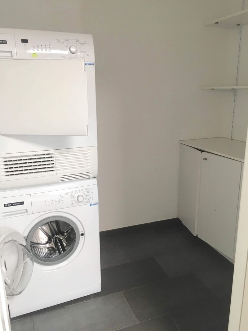 Pregassona singolare Attico ammobilito, moderno e luminoso con roof garden (25)