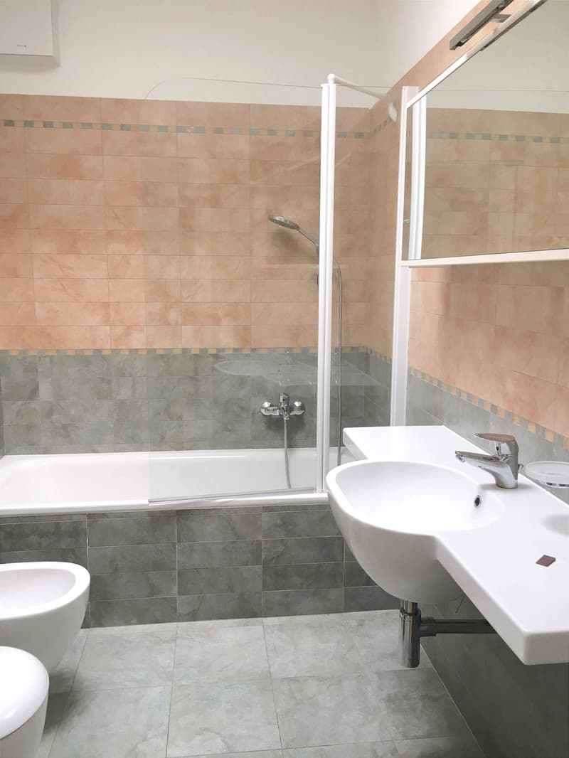 Pregassona singolare Attico ammobilito, moderno e luminoso con roof garden (15)