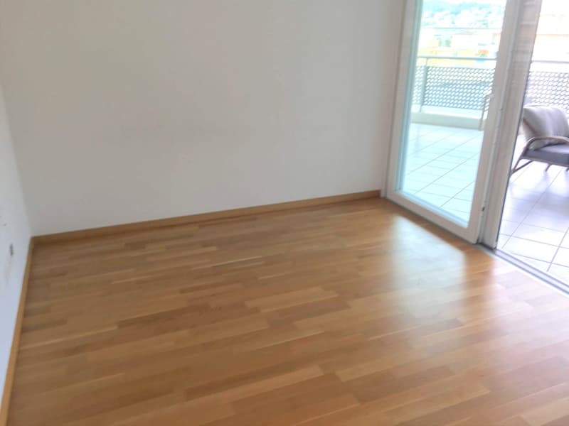 Pregassona singolare Attico ammobilito, moderno e luminoso con roof garden (10)