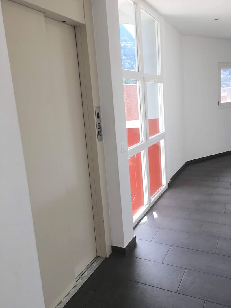 Pregassona singolare Attico ammobilito, moderno e luminoso con roof garden (14)