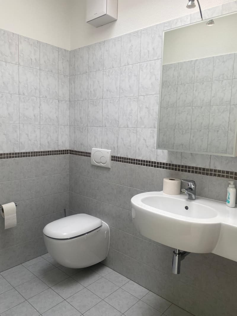 Pregassona singolare Attico ammobilito, moderno e luminoso con roof garden (12)