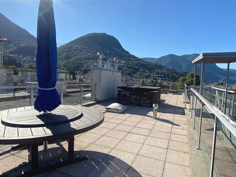Pregassona singolare Attico ammobilito, moderno e luminoso con roof garden (22)
