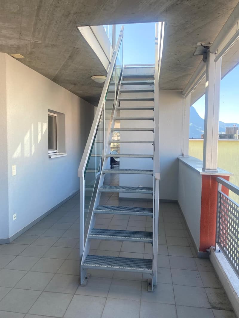 Pregassona singolare Attico ammobilito, moderno e luminoso con roof garden (21)