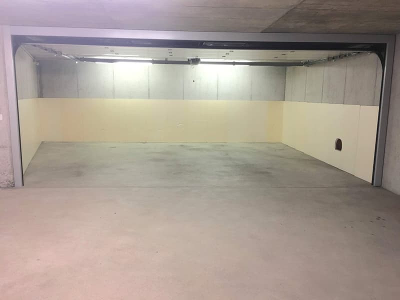 Pregassona singolare Attico ammobilito, moderno e luminoso con roof garden (28)