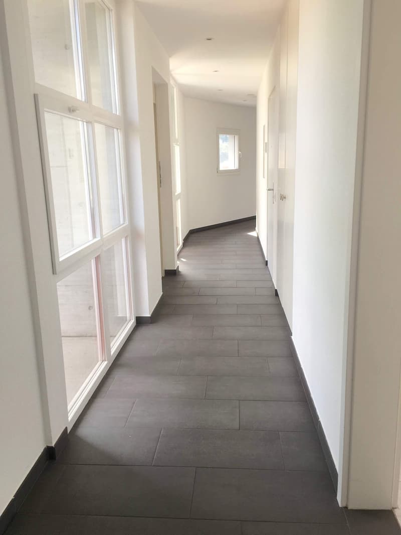Pregassona singolare Attico ammobilito, moderno e luminoso con roof garden (9)