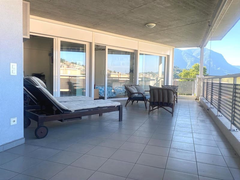 Pregassona singolare Attico ammobilito, moderno e luminoso con roof garden (19)
