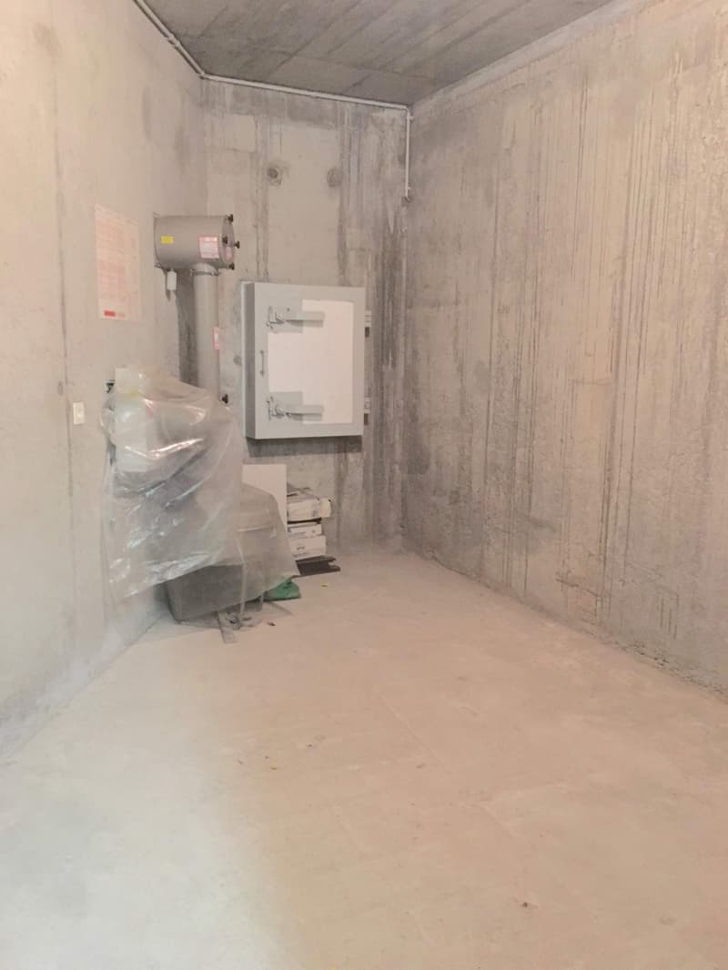 Pregassona singolare Attico ammobilito, moderno e luminoso con roof garden (30)