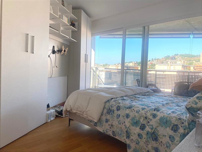 Pregassona singolare Attico ammobilito, moderno e luminoso con roof garden (6)