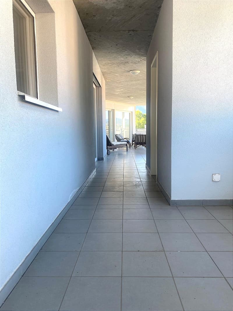 Pregassona singolare Attico ammobilito, moderno e luminoso con roof garden (5)