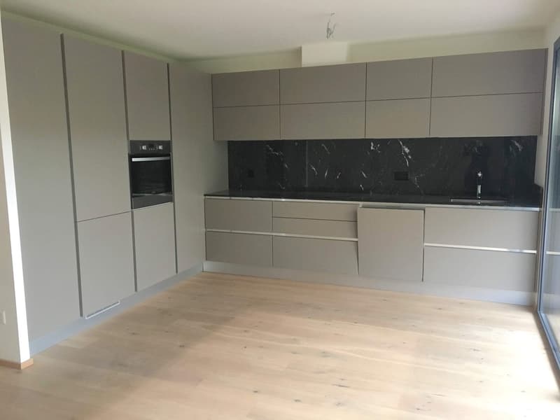 Pregassona, elegante 4,5 locali con giardino (4)
