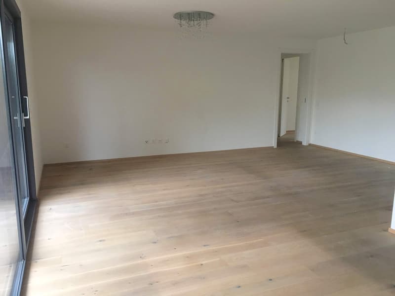 Pregassona, elegante 4,5 locali con giardino (3)