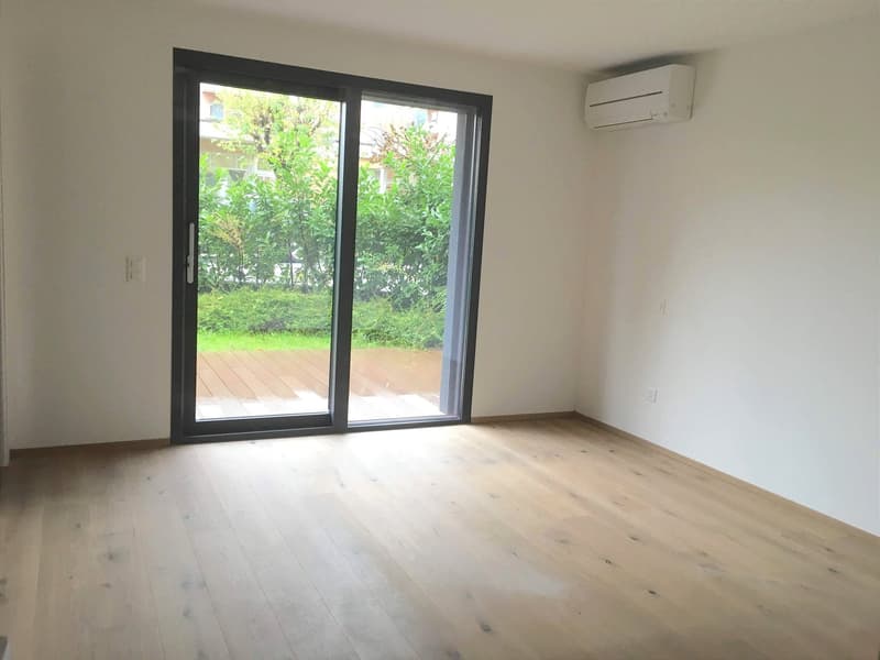 Pregassona, elegante 4,5 locali con giardino (2)
