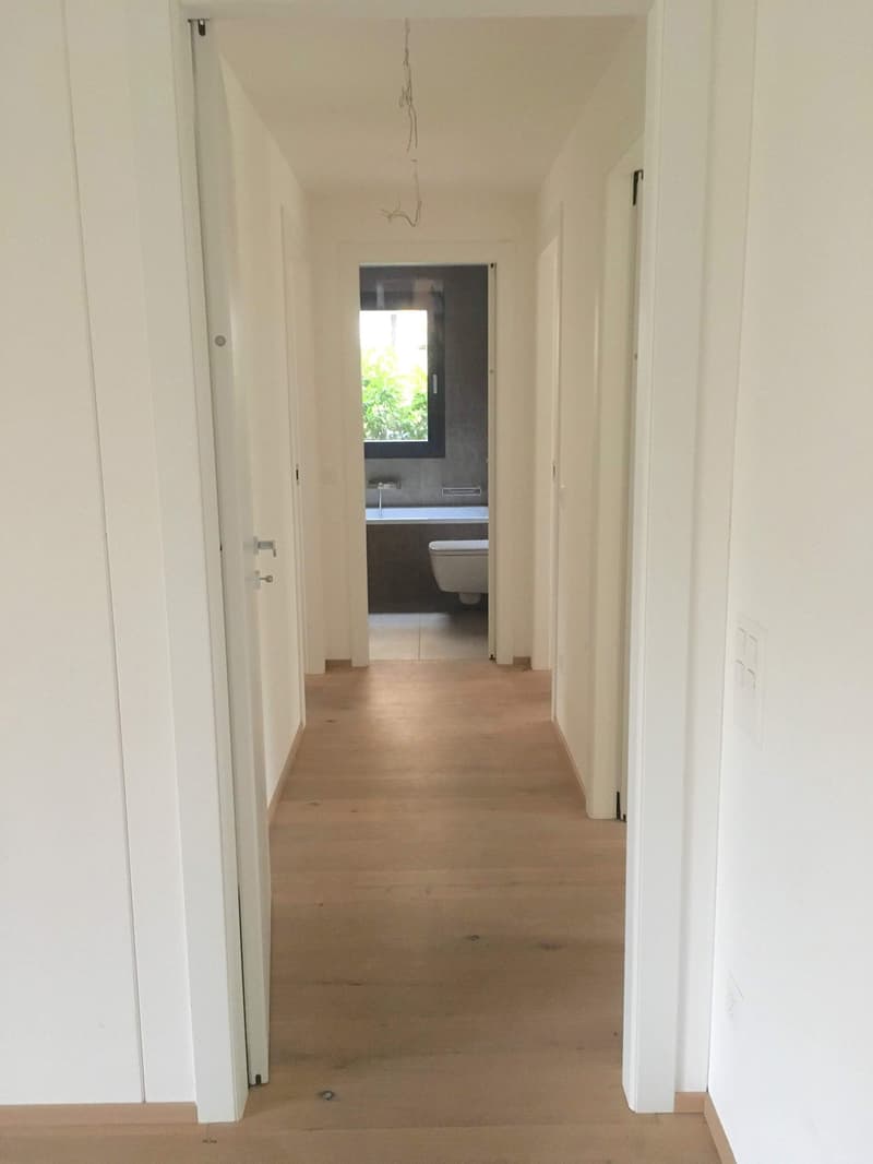 Pregassona, elegante 4,5 locali con giardino (5)