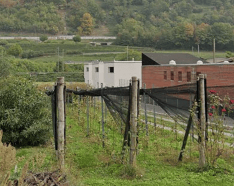 Riva San Vitale casa contemporanea tra lago e montagne in posizione tranquilla e soleggiata (9)