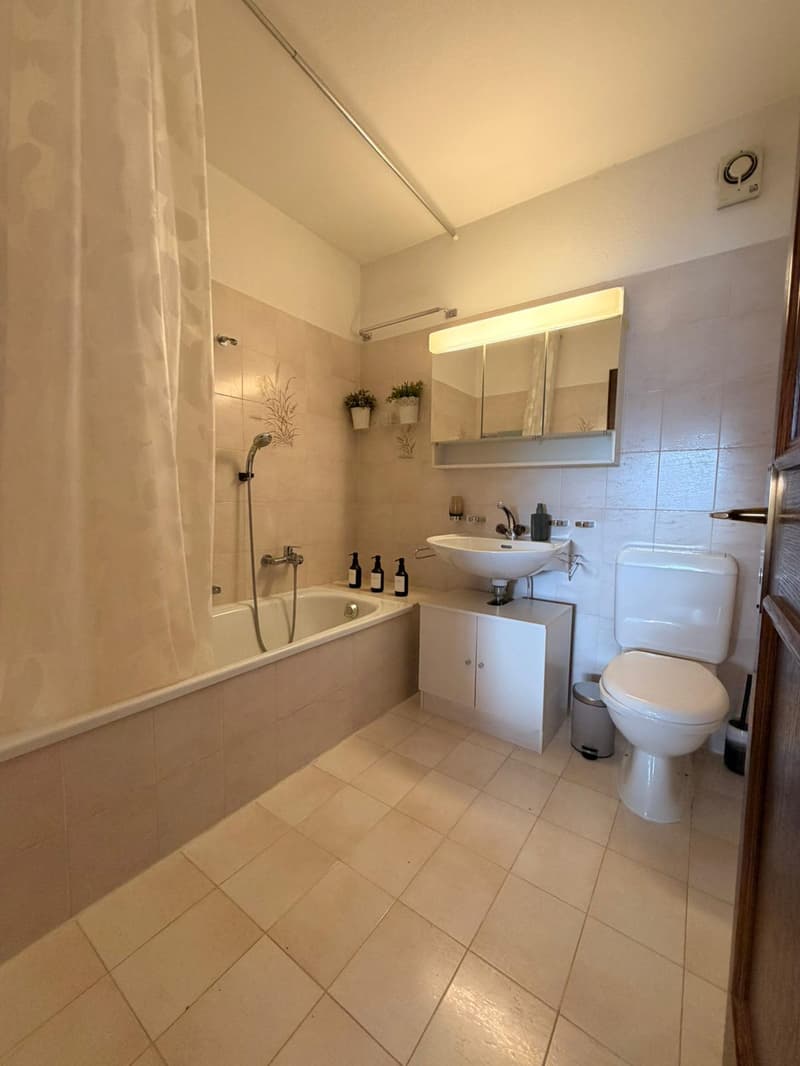 Appartamento con piscina ad Agra (10)