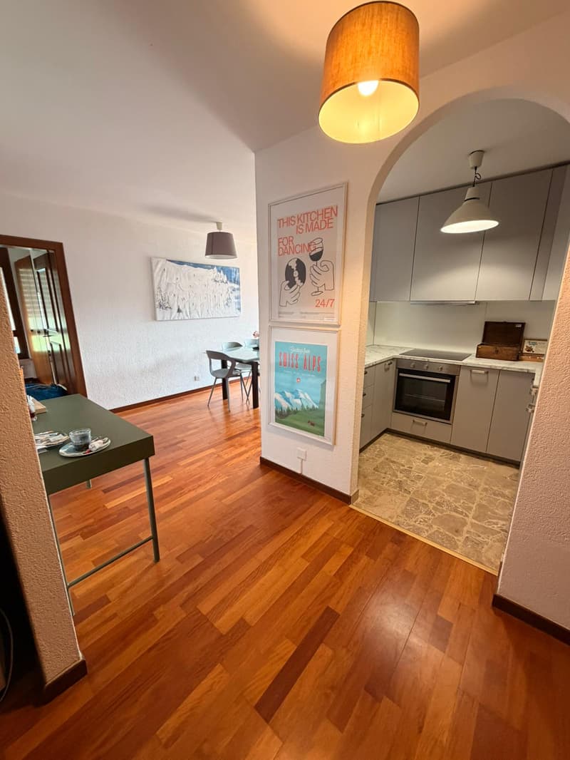 Appartamento con piscina ad Agra (2)