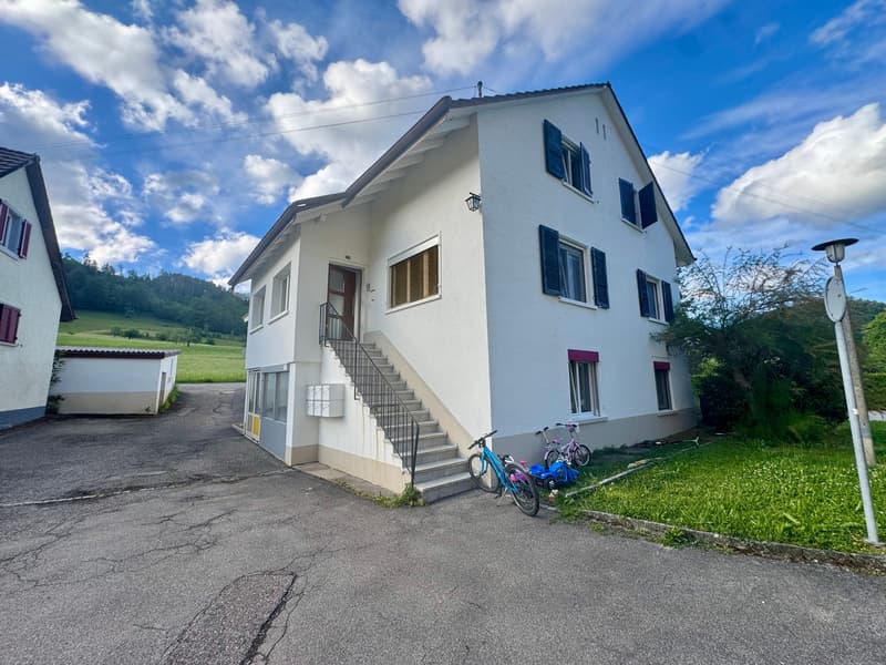 Renoviert mit Weitsicht (9)