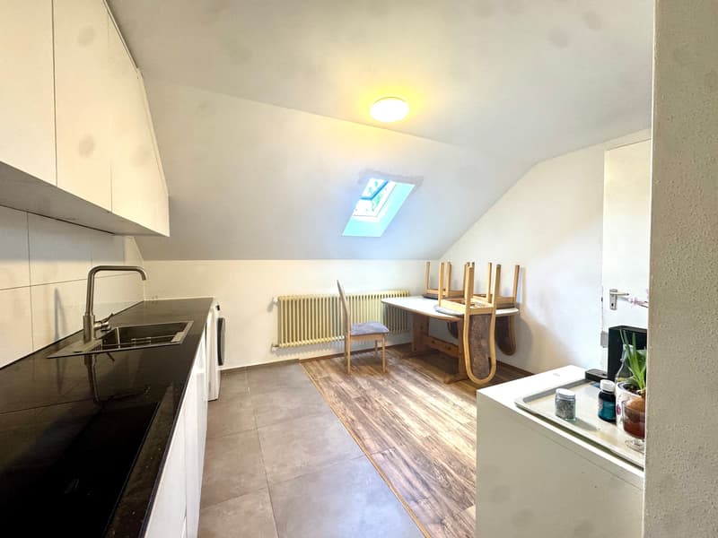 Renoviert mit Weitsicht (3)