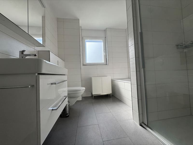 Nebelfreie Weitsicht (8)