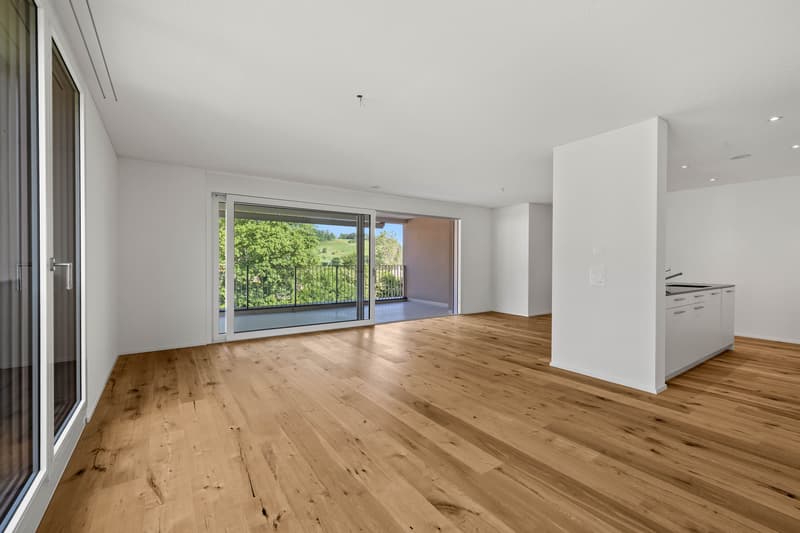 MODERN, HOCHWERTIG UND LICHTDURCHFLUTET (6)