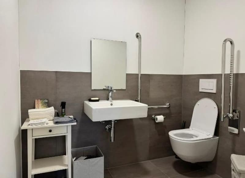 52 m² Lager-/Hobbyraum, neu und zentral, in Seengen mieten (11)