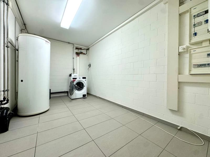 Loft, hell und grosszügig (9)
