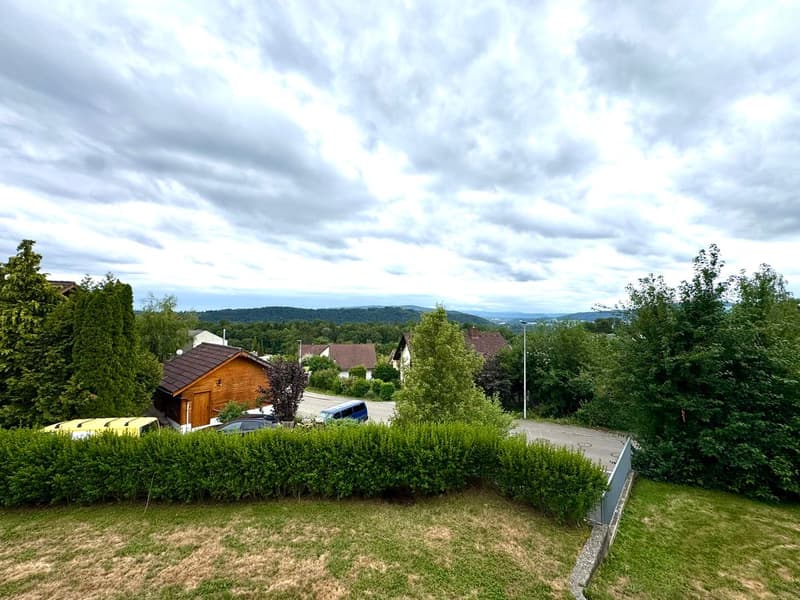 Grosszügig mit Weitsicht (4)