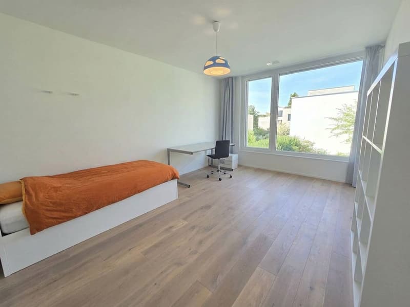 Einmalige Gelegenheit in Binningen (7)