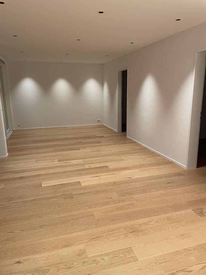 Exklusive neuwertige Wohnung mit Loggia (5)