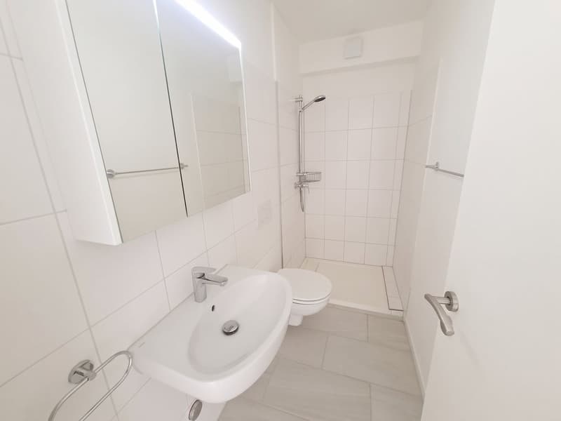 Helle 5-Zimmer Attikawohnung mit Blick in Basel zur Miete (7)